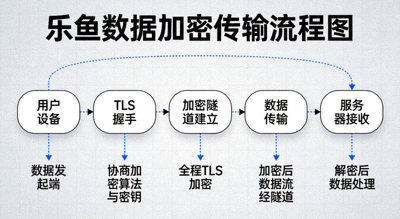乐鱼数据加密传输流程图：用户设备到服务器全程TLS加密隧道